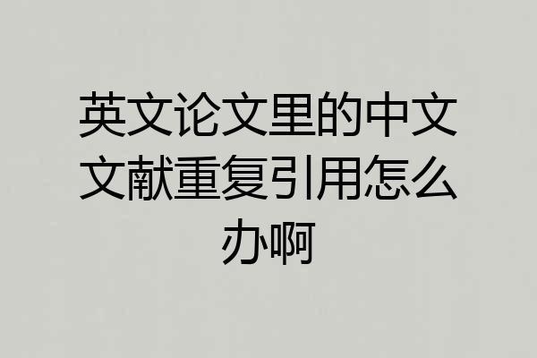 英文论文里的中文文献重复引用怎么办啊