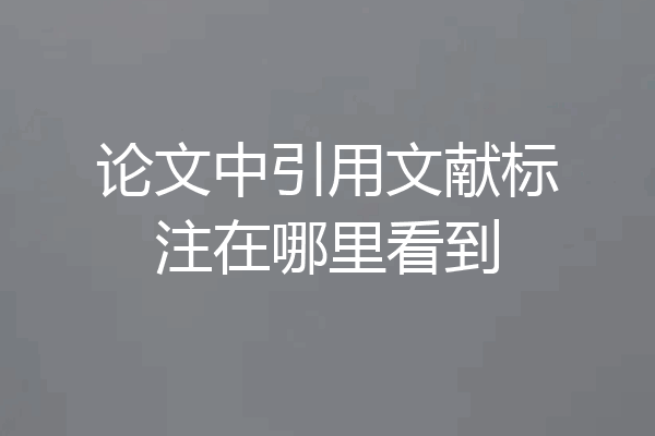 论文中引用文献标注在哪里看到