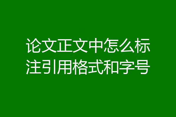 论文正文中怎么标注引用格式和字号