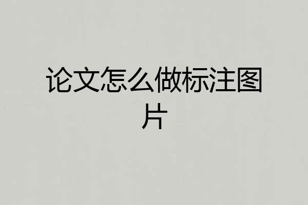 论文怎么做标注图片