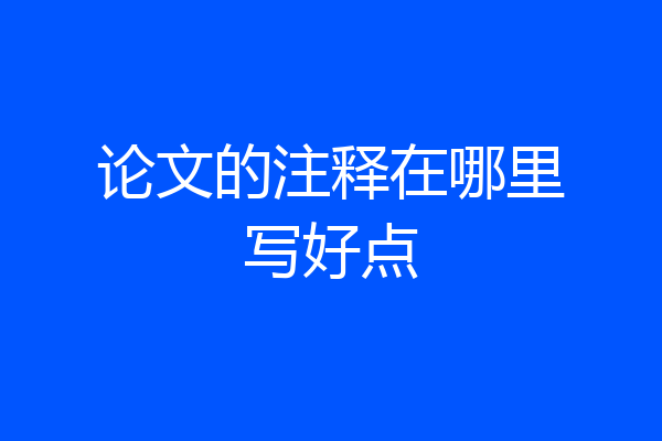 论文的注释在哪里写好点