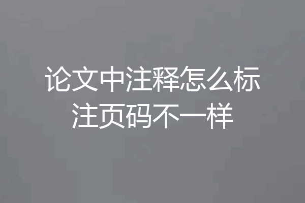 论文中注释怎么标注页码不一样