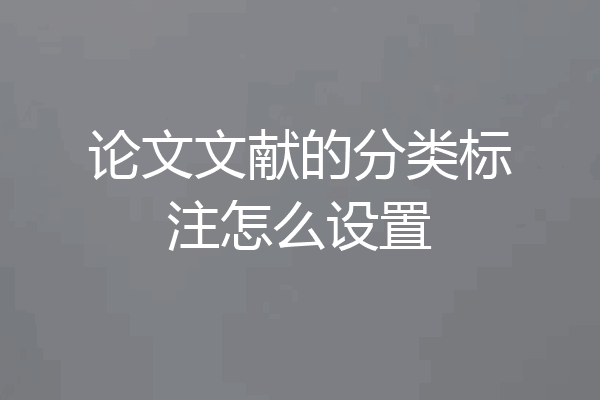 论文文献的分类标注怎么设置