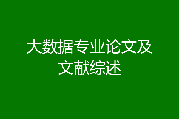 大数据专业论文及文献综述