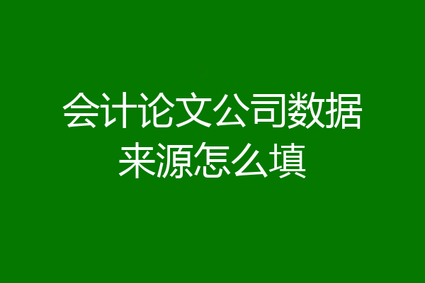 会计论文公司数据来源怎么填