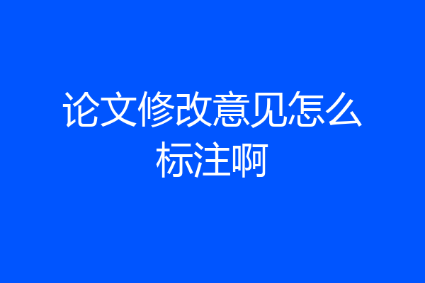 论文修改意见怎么标注啊