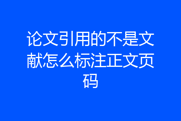 论文引用的不是文献怎么标注正文页码
