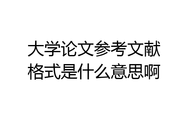 大学论文参考文献格式是什么意思啊