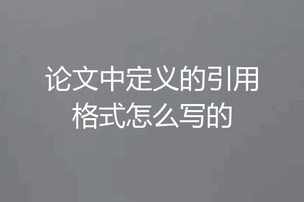 论文中定义的引用格式怎么写的