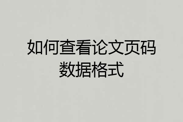 如何查看论文页码数据格式