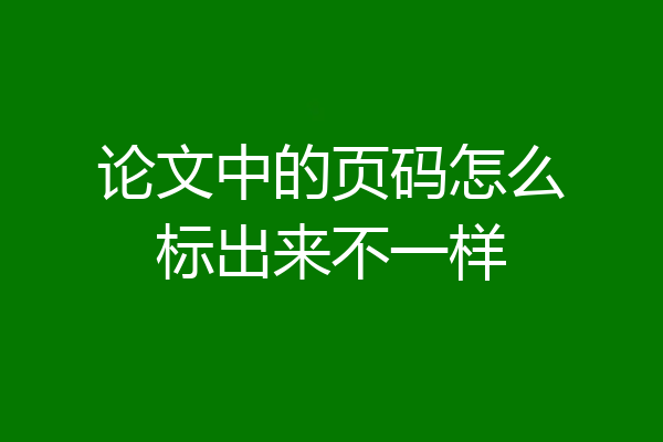 论文中的页码怎么标出来不一样