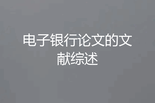 电子银行论文的文献综述