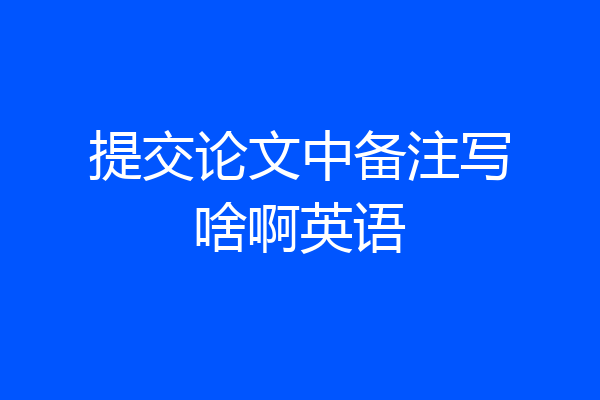 提交论文中备注写啥啊英语