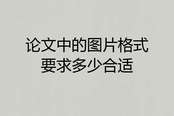 论文中的图片格式要求多少合适