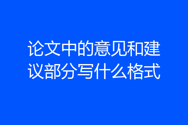 论文中的意见和建议部分写什么格式