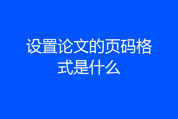 设置论文的页码格式是什么
