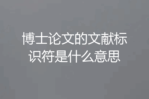 博士论文的文献标识符是什么意思