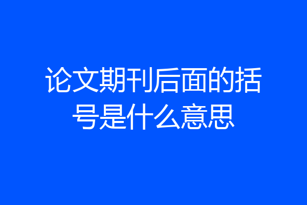 论文期刊后面的括号是什么意思