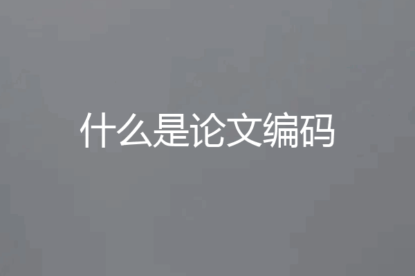 什么是论文编码