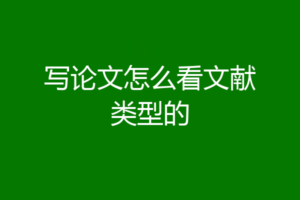 写论文怎么看文献类型的