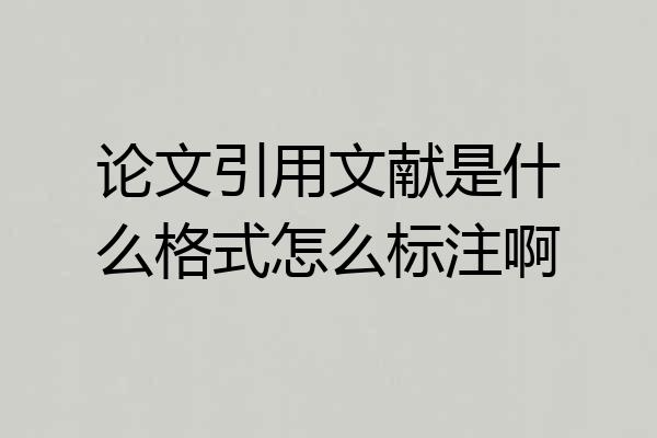 论文引用文献是什么格式怎么标注啊