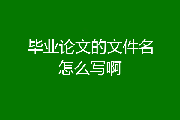 毕业论文的文件名怎么写啊