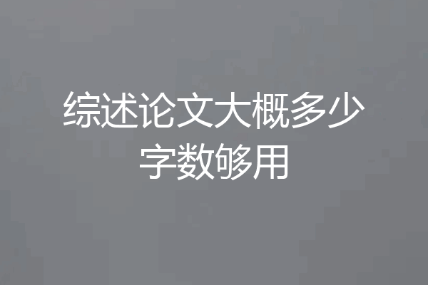 综述论文大概多少字数够用