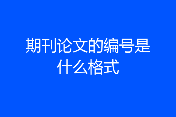 期刊论文的编号是什么格式