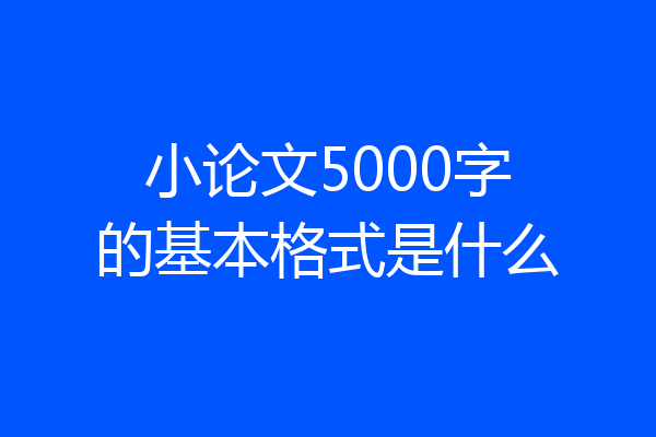 小论文5000字的基本格式是什么