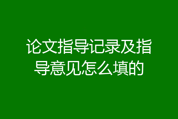 论文指导记录及指导意见怎么填的