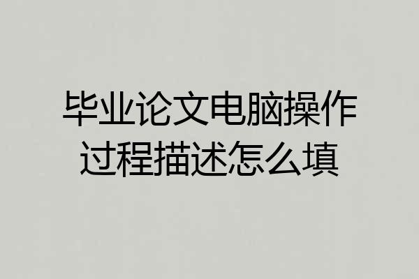 毕业论文电脑操作过程描述怎么填