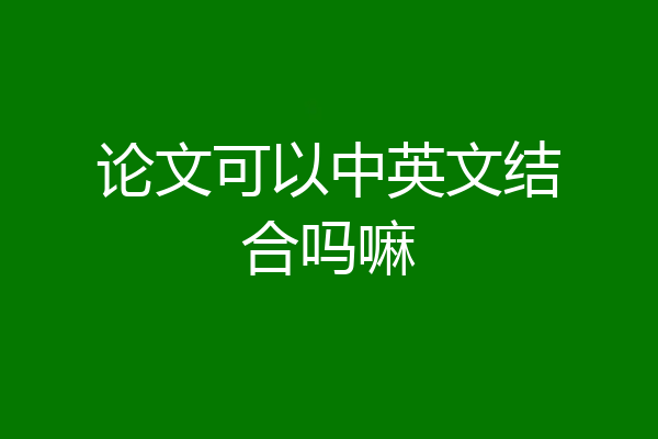 论文可以中英文结合吗嘛