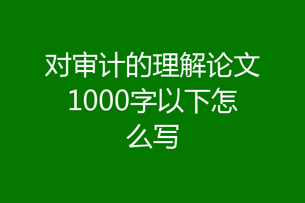 对审计的理解论文1000字以下怎么写