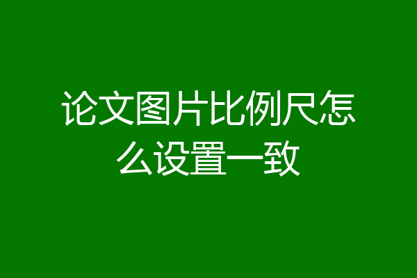 论文图片比例尺怎么设置一致