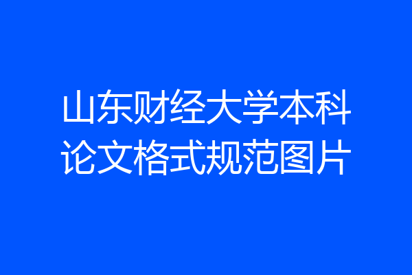 山东财经大学本科论文格式规范图片