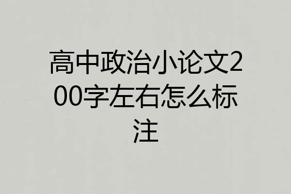 高中政治小论文200字左右怎么标注
