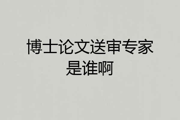 博士论文送审专家是谁啊