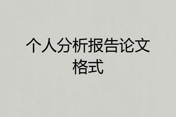 个人分析报告论文格式