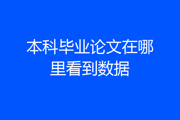 本科毕业论文在哪里看到数据