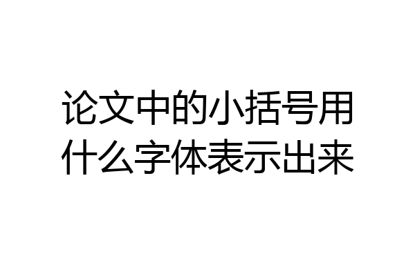 论文中的小括号用什么字体表示出来