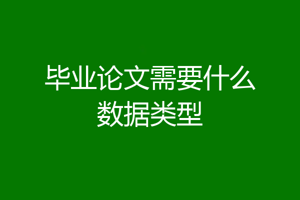 毕业论文需要什么数据类型