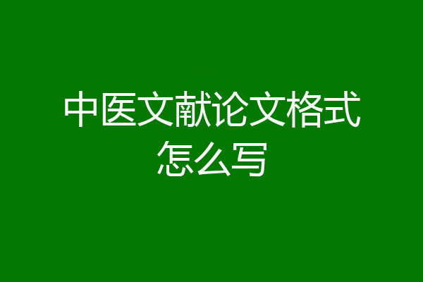 中医文献论文格式怎么写