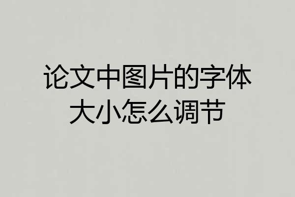 论文中图片的字体大小怎么调节