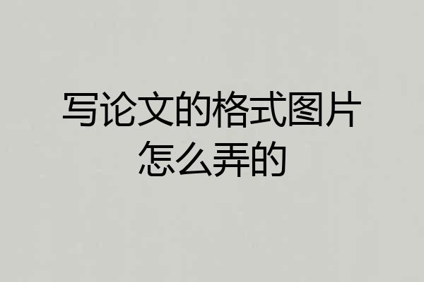 写论文的格式图片怎么弄的