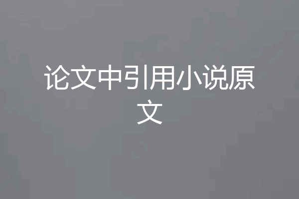 论文中引用小说原文