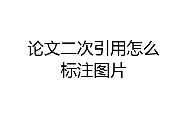 论文二次引用怎么标注图片