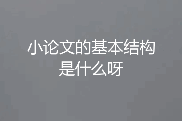 小论文的基本结构是什么呀