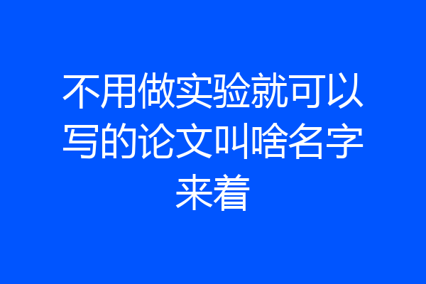 不用做实验就可以写的论文叫啥名字来着