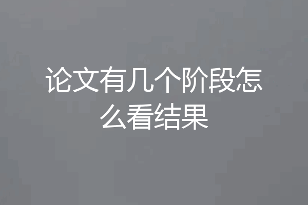 论文有几个阶段怎么看结果