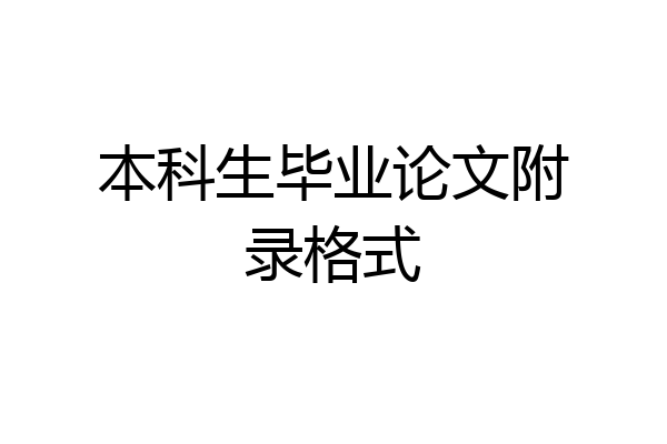 本科生毕业论文附录格式